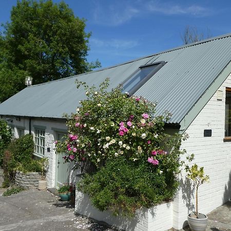 The Garden Room Dundon Exteriér fotografie